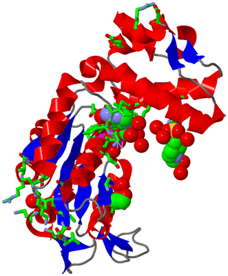 Image Asym./Biol. Unit - sites