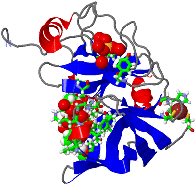 Image Asym./Biol. Unit - sites