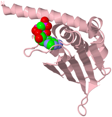 Image Biological Unit 1