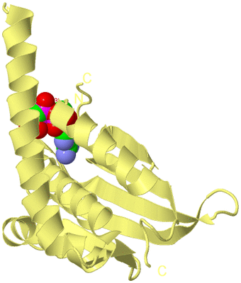 Image Biological Unit 2