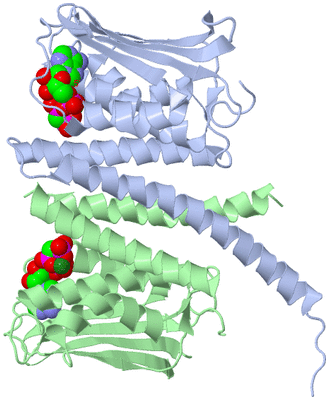 Image Biological Unit 3