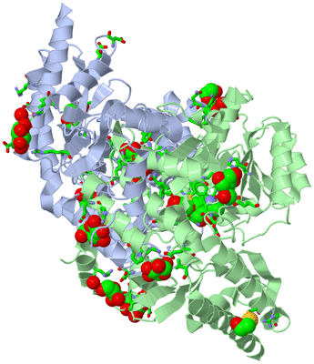 Image Asym./Biol. Unit - sites