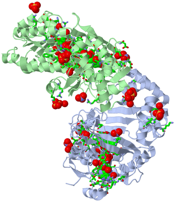 Image Biol. Unit 1 - sites