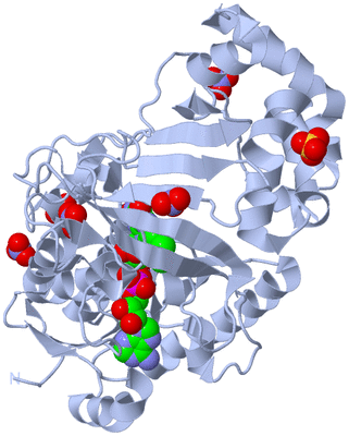 Image Biological Unit 2