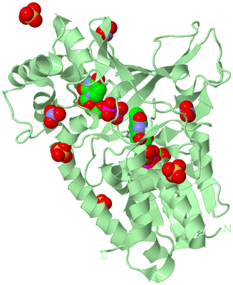 Image Biological Unit 3