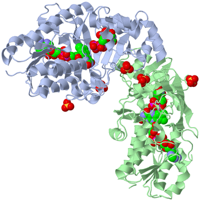 Image Biological Unit 1