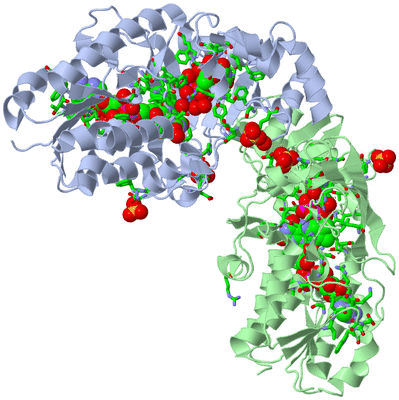 Image Biol. Unit 1 - sites