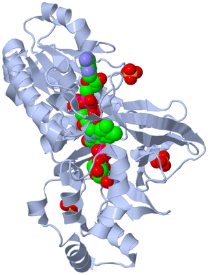 Image Biological Unit 2