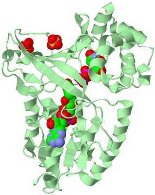 Image Biological Unit 3