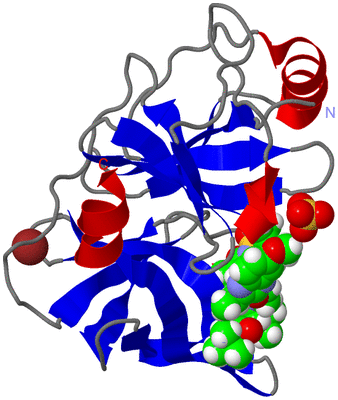 Image Asym./Biol. Unit