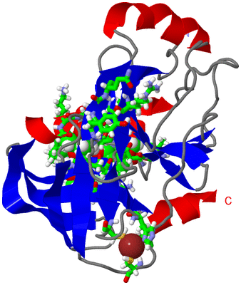 Image Asym./Biol. Unit - sites