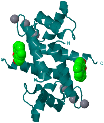 Image Biological Unit 1