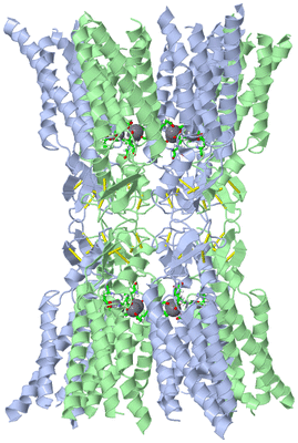 Image Biol. Unit 1 - sites