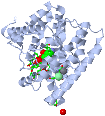 Image Biol. Unit 1 - sites