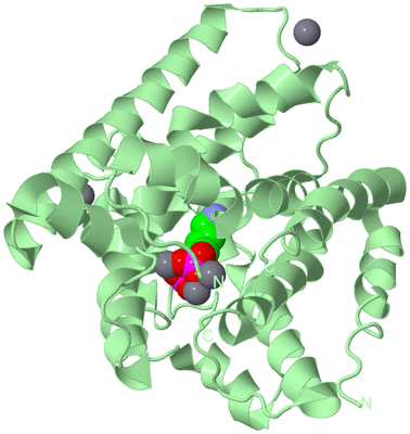 Image Biological Unit 2