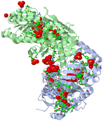 Image Biol. Unit 1 - sites