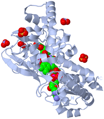 Image Biological Unit 2