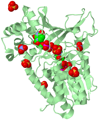 Image Biological Unit 3