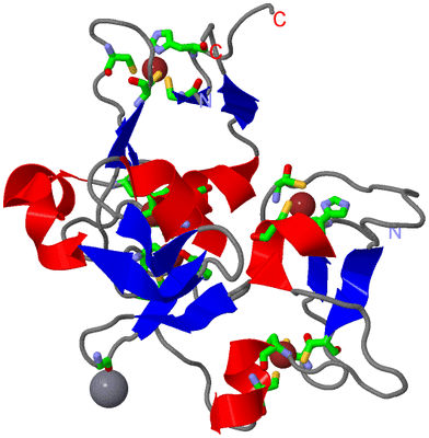 Image Asym./Biol. Unit - sites