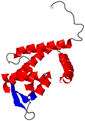 Image Asymmetric Unit