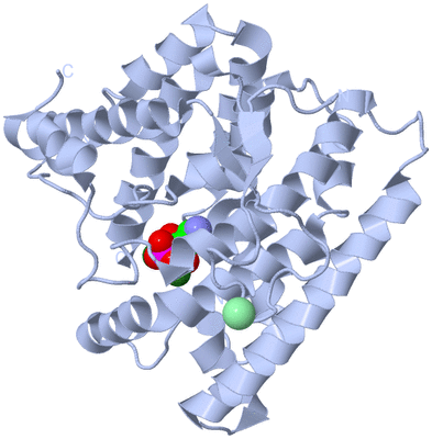 Image Biological Unit 1