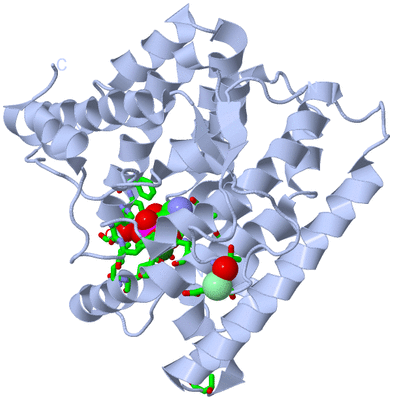 Image Biol. Unit 1 - sites