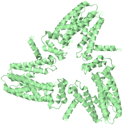 Image Biological Unit 4