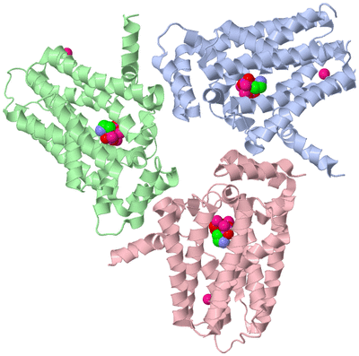 Image Biological Unit 2