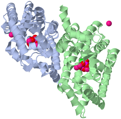 Image Biological Unit 3