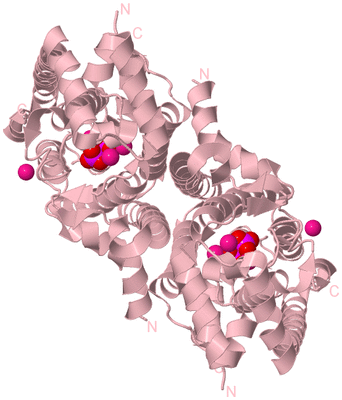 Image Biological Unit 4