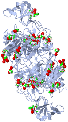 Image Biol. Unit 1 - sites