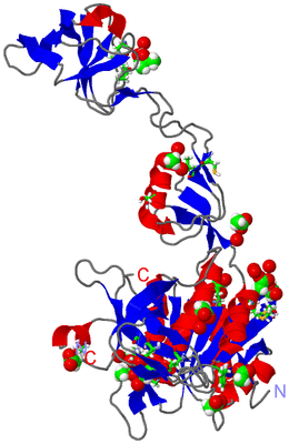 Image Asym. Unit - sites