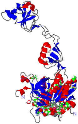 Image Asym. Unit - sites