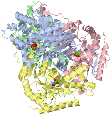 Image Biological Unit 1