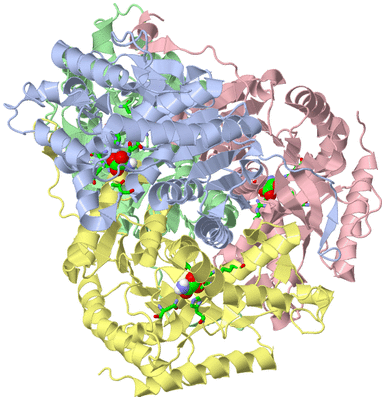 Image Biol. Unit 1 - sites