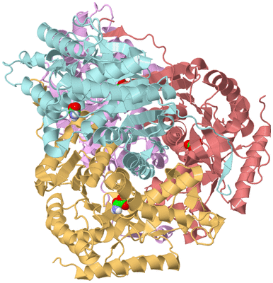 Image Biological Unit 2