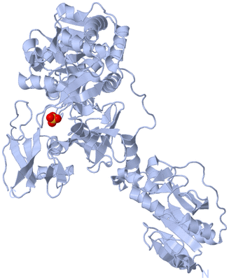 Image Biological Unit 1