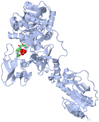 Image Biol. Unit 1 - sites