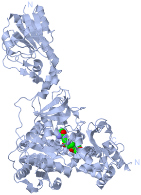 Image Biological Unit 1