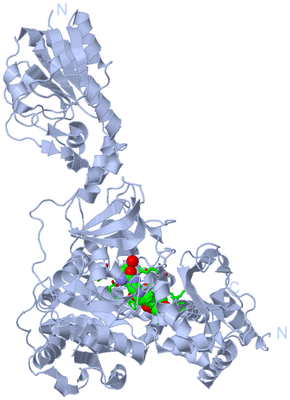 Image Biol. Unit 1 - sites