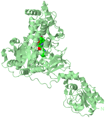 Image Biological Unit 2