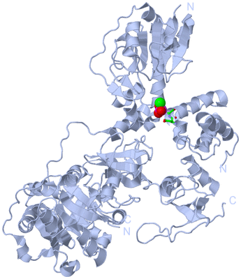 Image Biol. Unit 1 - sites