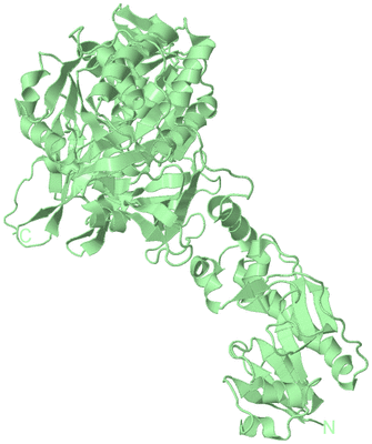 Image Biological Unit 2