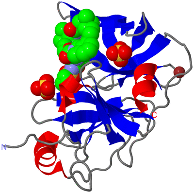 Image Asym./Biol. Unit