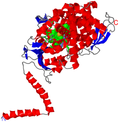 Image Asym./Biol. Unit - sites