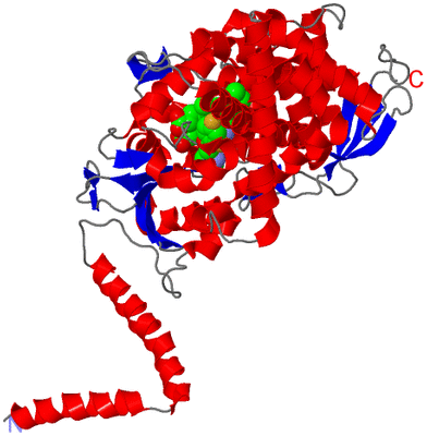 Image Asym./Biol. Unit