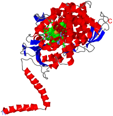 Image Asym./Biol. Unit - sites