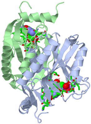 Image Asym./Biol. Unit - sites