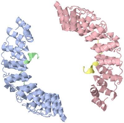 Image Asymmetric Unit