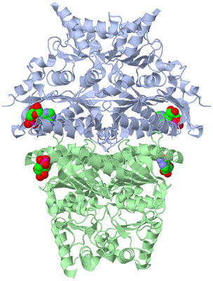 Image Biological Unit 1